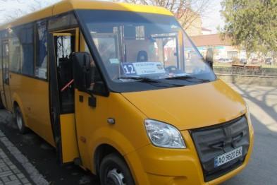 В Ужгороді 2 перевізника за "компенсаційні" кошти від влади закуплять 15 автобусів місткістю більше 40 пасажирів (ВІДЕО)
