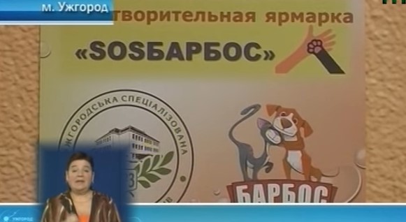 Школярі в Ужгороді у допомогу собачому притулку влаштували благодійний ярмарок (ВІДЕО)
