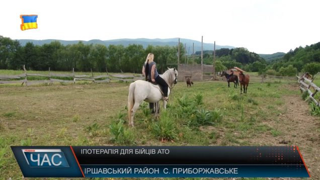 На Іршавщині бійців АТО лікують кіньми (ВІДЕО)