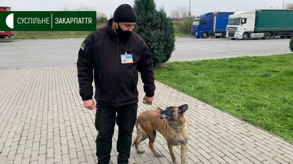 7 років на КПП "Ужгород": як служать кінолог та його собака (ФОТО, ВІДЕО)