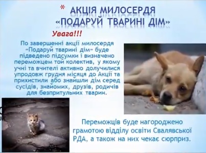 На Свалявщині влаштували акцію "Подаруй тварині дім" (ВІДЕО)