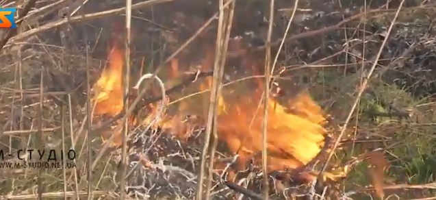 З початком весняних польових робіт зросла кількість пожеж в екосистемах (ВІДЕО)