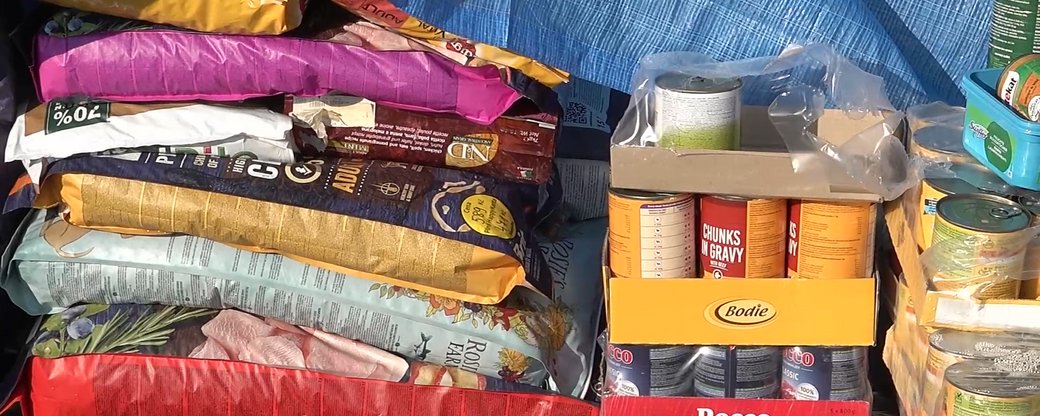 Волонтери притулку "Барбос" в Ужгороді відправили 65 тонн корму в регіони, де тривають бойові дії (ФОТО)