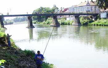 В обласному центрі Закарпаття на річці Уж відбулися змагання рибалок
