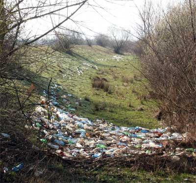 Проти сільради на закарпатській Рахівщині порушено кримінальну справу за стихійне сміттєзвалище