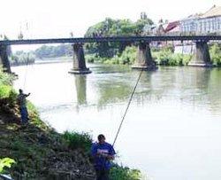 Вчора в Ужгороді фестивалили рибалки