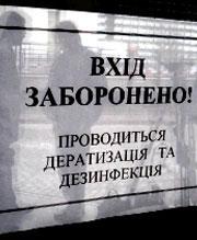 В Ужгороді на дератизацію з міського бюджету цьогоріч не виділили ні копійки