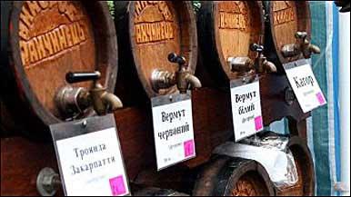 Закарпатські винороби можуть зникнути через дорогі ліцензії (ВІДЕО)