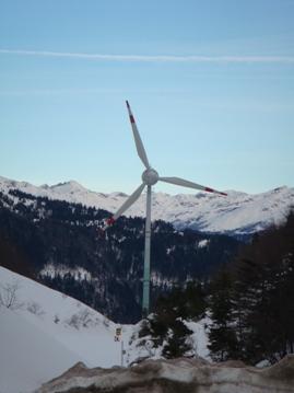 Німці готові інвестувати у розвиток вітроенергетики на Закарпатті 200 мільйонів євро (ФОТО)