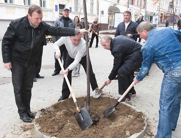 У центрі Ужгорода висадили 35 дерев (ФОТО)