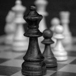 У Мукачеві четверту річницю дитячого шахового клубу відзначили фестивалем