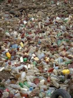 За підсумками акції "За чисте довкілля” на Закарпатті зібрано 30 678,1 кубометрів сміття