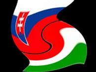Парламент Словаччини розкритикував Конституцію Угорщини