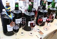 Закарпатські винороби презентували свою продукцію у Словаччині