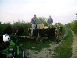 Закарпатські контрабандисти на конях намагалися переправити до Угорщини 10 ящиків сигарет