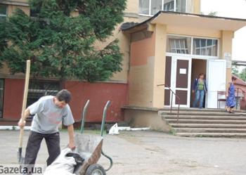В Ужгороді вбивали собак на очах у дітей
