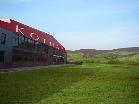 Закарпатський інститут агропромислового виробництва і винний завод "Котнар" посварилися за землю