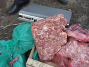 Викрито схему постачання контрабандної курятини з Угорщини в Україну через Закарпаття