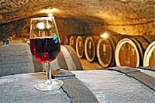 У Мукачеві італійські вина та сири порівнювали із закарпатськими