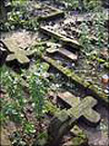 Невідомі вандали влаштували погром на цвинтарі закарпатського села Велика Добронь