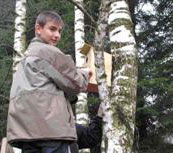 Ще одне шкільне лісництво з’явилося на закарпатській Тячівщині
