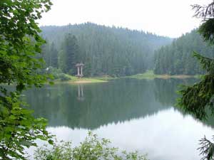 Синевир — озеро з могилою у центрі