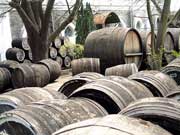 На початку березня в закарпатському Берегові відбудеться VIII Міжнародний фестиваль вина