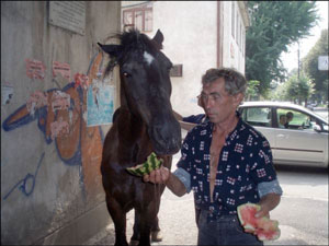 Олександр Попович годує безпритульного коня кавуном на вулиці Руській в Ужгороді