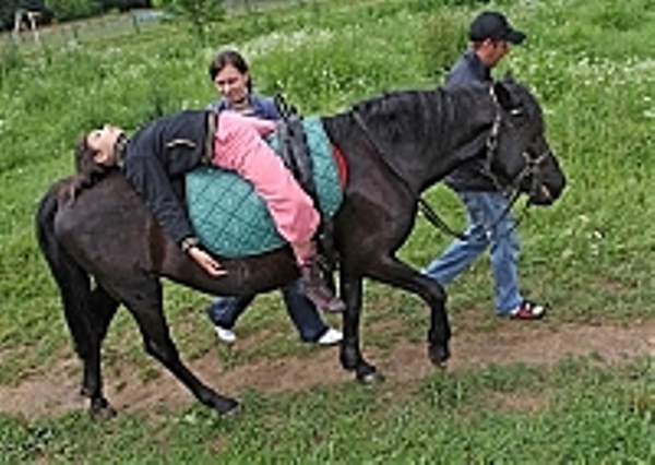 На Закарпатті впроваджують гіпотерапію з гуцульською породою коней