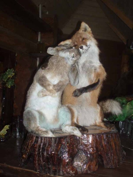 У закарпатській Колочаві відкрили садибу-музей місцевої фауни