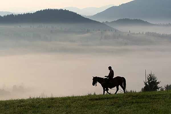 Пейзаж живет и дышит туманом, меняясь ежеминутно. Частичка этой гармонии - и те, кто на лошадях неслышно приехал за остывшим за ночь сеном...