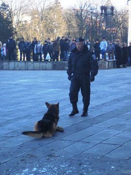 Собака - надежный помощник милиционера