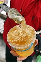 Пасечники с Закарпатья приняли участие в Празднике мёда и хлеба в тернополе