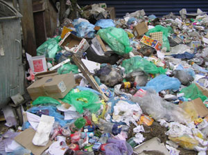 Ужгородская власть игнорирует требования получения разрешений и лимитов на размещение бытовых отходов