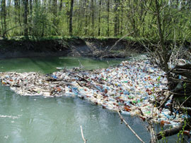 В Венгрии советовались, как защитить воды Тисы от закарпатского мусора