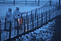 На Закарпатье задержали четырёх афганцев, пытавшихся незаконно попасть в Словакию