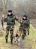 На Закарпатье пограничная овчарка помогла найти вора