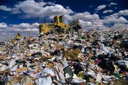 С прошлого года на Закарпатье осталось 330 тонн неутилизированных отходов предприятий 