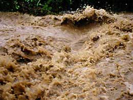 Из-за ливней вода в реках Закарпатья поднимется на 0.3-1.0 м
