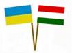 На Закарпатті відбудеться щорічна конференція Демократичної спілки угорців України