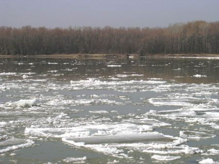 Закарпаття: Всі льодові затори, які утворилися на річках 22 січня, — ліквідовано
