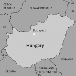 В Угорщині заарештували закарпатця за спробу провезти через кордон 400 г кокаїну