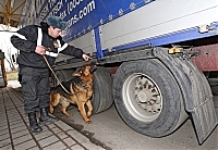 У пункті пропуску "Чоп" прапорщик Микола Гайду та його собака Алтай перевіряють вантажівку