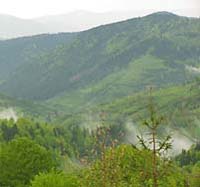 На Закарпатті гірські рятувальники МНС шукають заблукалого туриста з Чернігова