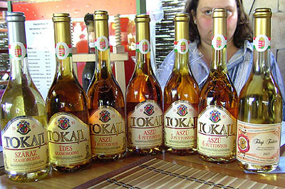 Угорщину цікавить використання знаку "Токайські вина" підприємствами Закарпаття