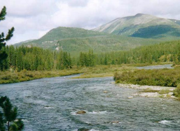 На річках Закарпаття спостерігаються низькі рівні води