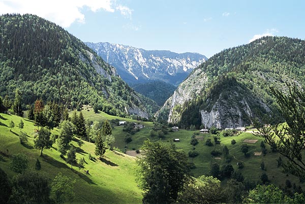 На Закарпатті альпіністи МНС врятували 5 заблукалих чеських туристів
