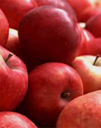 Ціни на закарпатські яблука в Києві впали через морози
