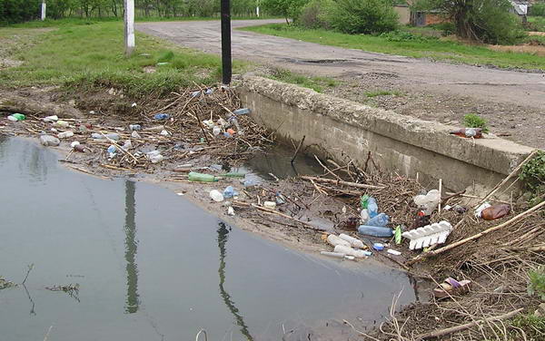 Депутати закарпатської Міжгірщини вважають, що сміття згуртує верховинців