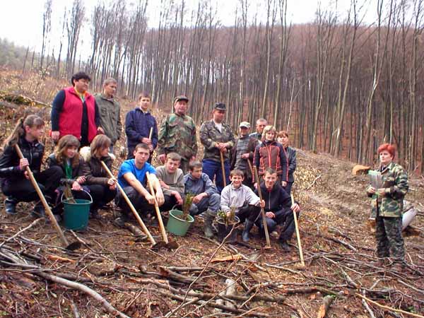 На Великоберезнянщині школярі висадили нову лісосмугу